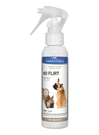 Hygiène et soins pour chien