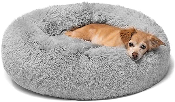 Couchages pour chien